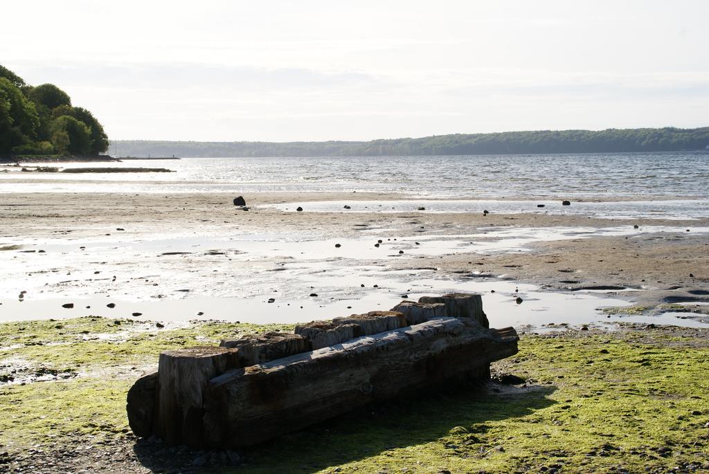Unterkunfte Des Seesterns Flensburg Rom bilde